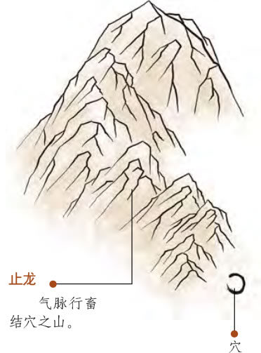 ˮʣֹ