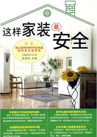 《这样家装最安全》金雅庆 著