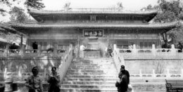 ʲô棿