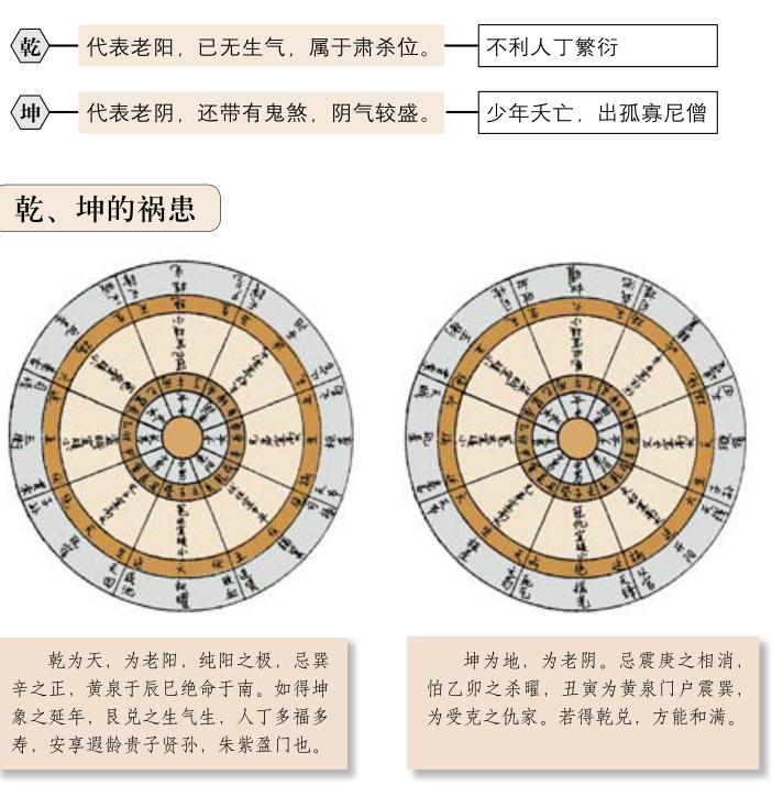 评阳龙(五)——乾、坤龙