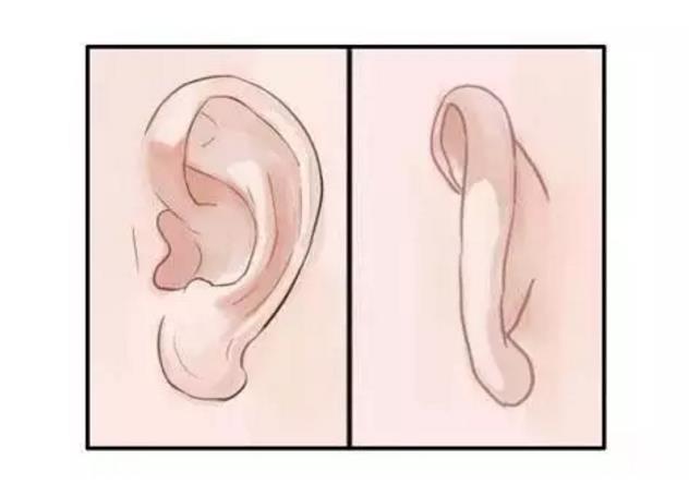 据说长得好看的人犯错都可能被原谅,是真的吗?