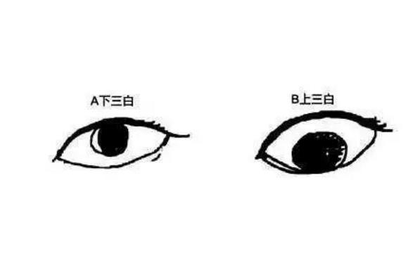 面相解读:各种眼型与性格的关系