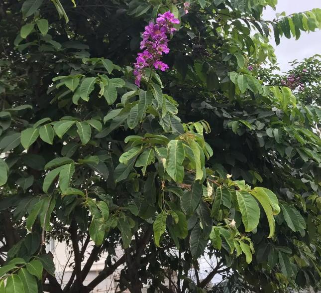 影响风水先生精进的因素(二)