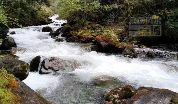 如何运用风水学上的“水”来催旺财运?