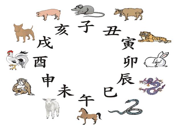 属猪人2019年本命年一定会倒霉吗