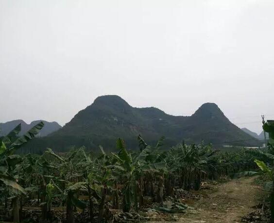 风水有很多门派,但这几点风水宝地的看法是相通的