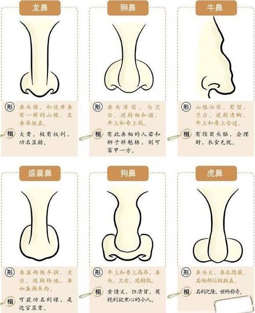 你的财运和能力如何,快看看自己鼻子的大小!