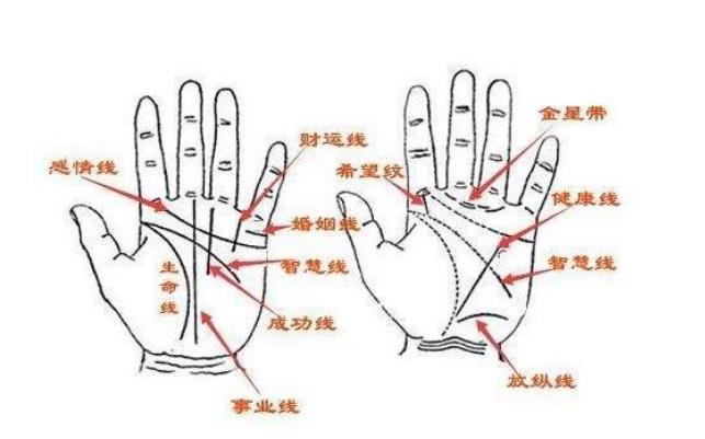神秘的通天纹,有此纹者事业、富贵自天来,挡也挡不住!