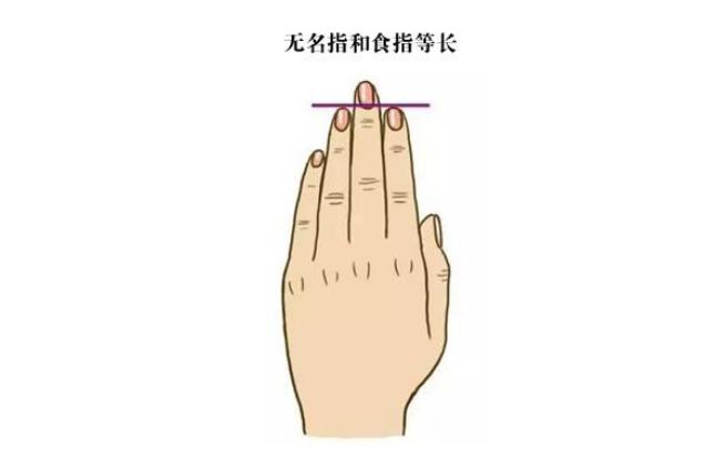 从最不起眼的无名指,看你的婚姻和性格。