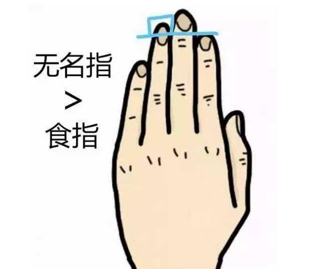 从最不起眼的无名指,看你的婚姻和性格。