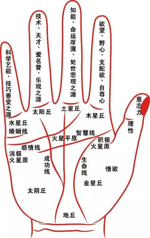如果你手中有这几种财运纹,就离发财不远啦!