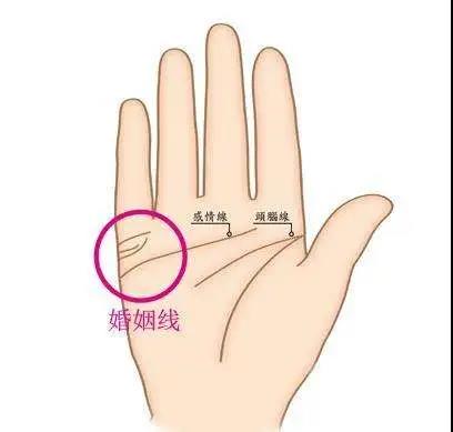桃花运太多是好事吗?!容易招烂桃花的五大手相,快看看你有没有