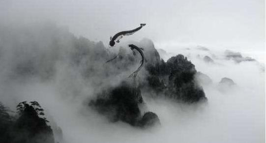 《黄帝内经》:一个真正健康的人应该符合的十个标准!