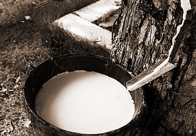 Ȼ,εȻʲô˼