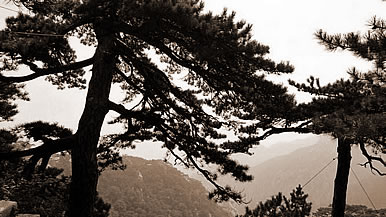 ɰ,εɰʲô˼
