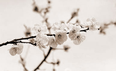 һ,εһʲô˼
