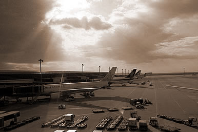 ηɻ,εɻʲô˼