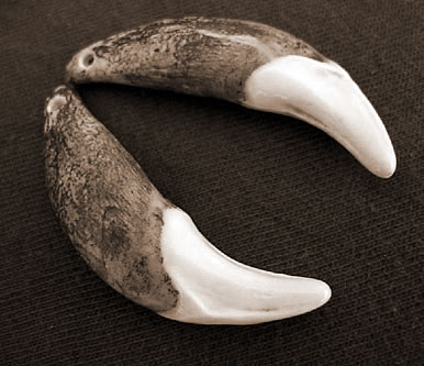 ι,εʲô˼