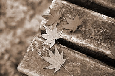 οҶ,εҶʲô˼