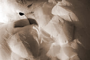 δë,εëʲô˼
