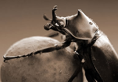 ʺ,εʺɴʲô˼
