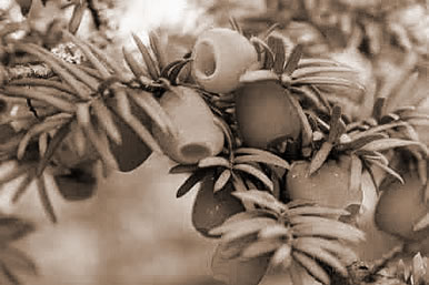 ɼ,εɼʲô˼