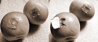 ,εմʲô˼