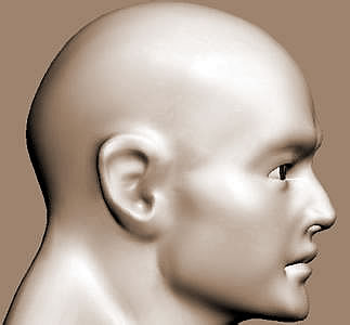 ͷ,εͷʲô˼