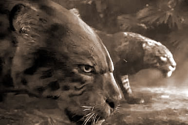 Ұ,εҰ޴ʲô˼