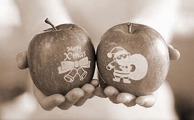 ƻ,εƻʲô˼