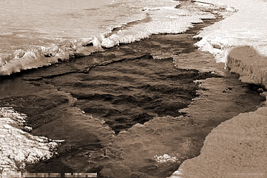 νᶳ,εᶳʲô˼