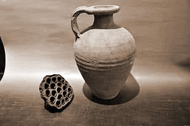 մ,εմʲô˼