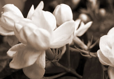 컨װޱʲôװ޷ˮſˣ