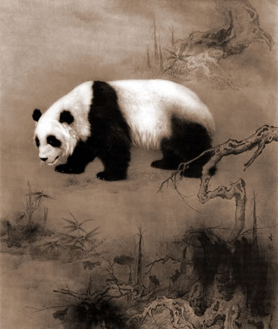 三命通会 己丑日不一样时间生人的运气分析