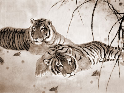 2017³˵ôк