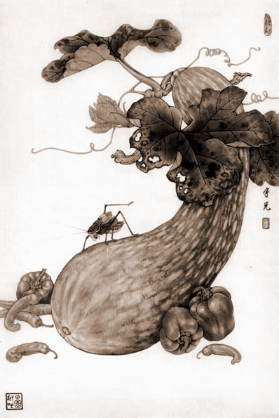 火命避讳的色调是啥