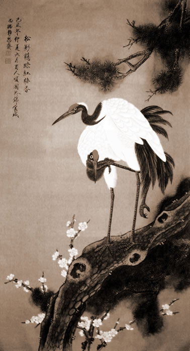 几月出世的小宝宝会大福大贵