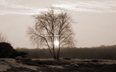 ֮ʱ
