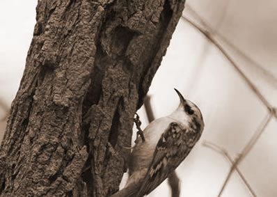 ʮϸ˵ľ
