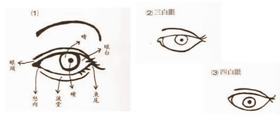 面相大全:双眼