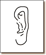 ͼĽ˵淽