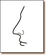 ͼĽ˵淽