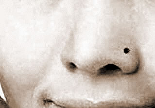 ֲ࣬һƲ