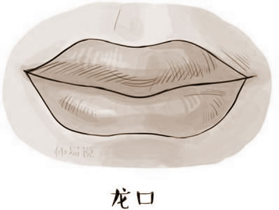 ⼸͵˵˶׺ܲ