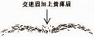 让你产生霉运的6害眉相