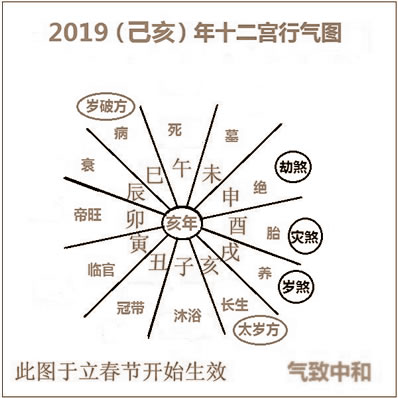 2019꣨ʮ׼ϸ˵