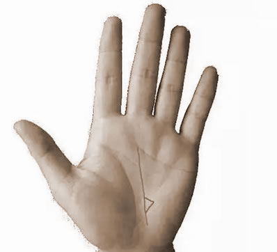 ߴֻףأ