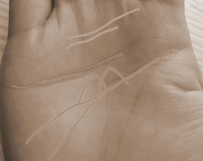 ſڣ©ƺĲ