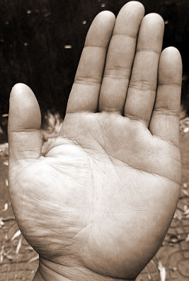 ʲôǮ