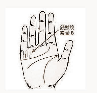 ࿴㱻˧Ҫĸж٣